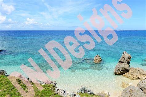 Image result for Virtual Beach Background