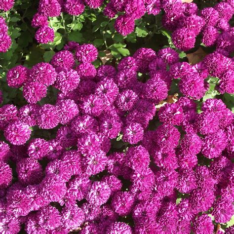 FOUNDERS PARK (2025) All You Need to Know BEFORE You Go (with Photos ...