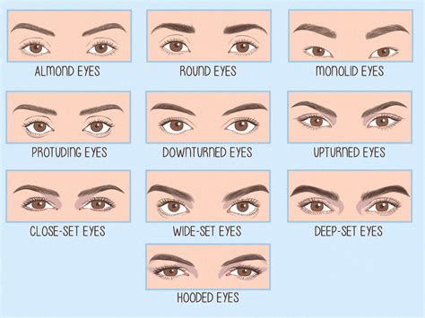 Different Types Of Eye Shapes Which One You Have Fashion & Beauty: The