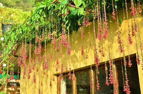 THE BACK OF BEYOND (Jim Corbett National Park, Uttarakhand ...