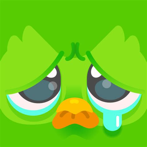 Duolingo: Language Lessons – Apps on Google Play