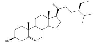 Kristu Jayanti College, Bengaluru