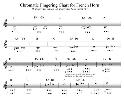 Horn Notes - Welcome to the french horn!