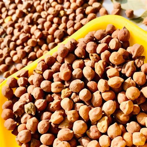 Desi Chana - Natural PODU Product – Vintage Farmers