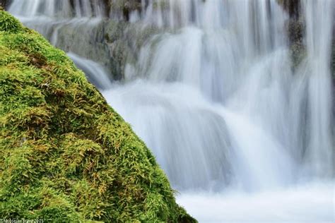 Afton Tourism (2024): All You Need to Know Before You Go