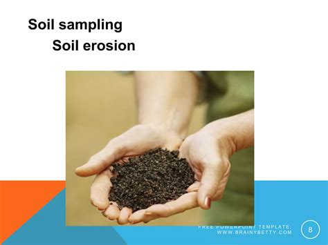 Image result for Describes Sampling Procedure and Sample