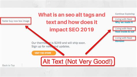 Image Alt Tag SEO | Generating and Using Alt Text for SEO Results
