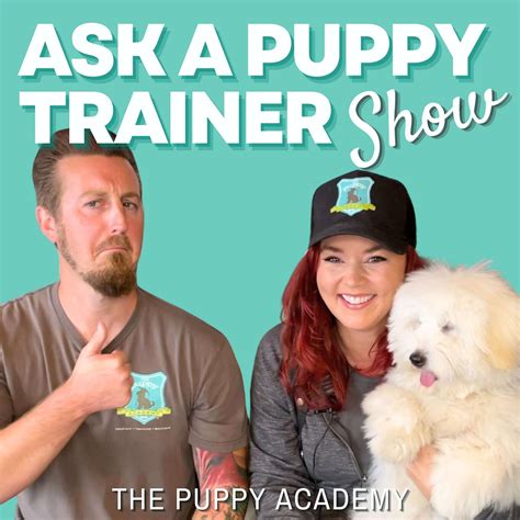 How To Stop Your Puppy From Chewing The Leash | Ep. 211 - Ask A Puppy ...