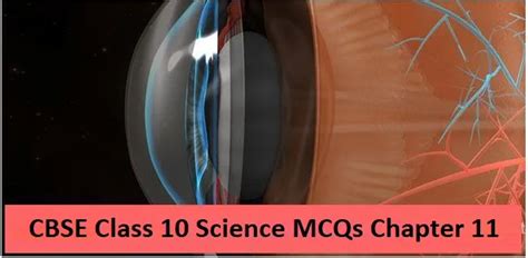 CBSE Class 10 Science MCQs on Chapter 11 The Human Eye and the ...