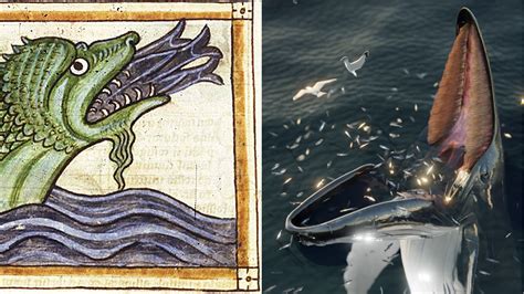 Mythical Sea Creature Drawings