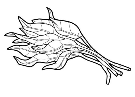 Coloring Book, Plant Water Spinach Stock Vector - Illustration of grass ...