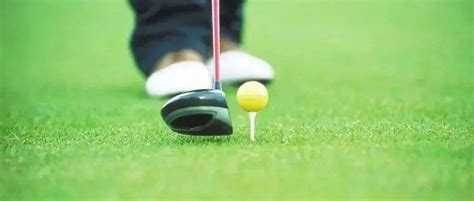 高尔夫 的图像结果