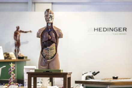 Image result for Advanced Models