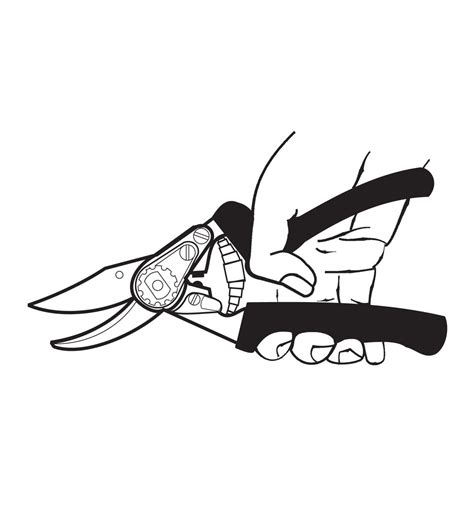 Felco #10 Left-Hand Pruner - Lee Valley Tools