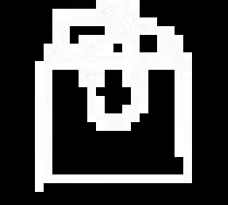 Campus Ambassador | Spring Fest