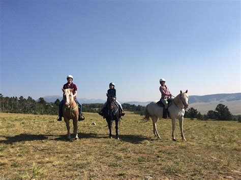 AMERICAN SAFARI RANCH (Fairplay) - Ranch Reviews & Photos - Tripadvisor