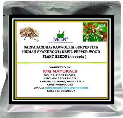 MGBN SARPAGANDHA/RAUWOLFIA SERPENTINA/INDIAN SNAKEROOT/DEVIL PEPPER ...