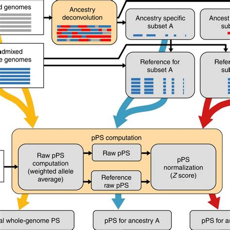 Graphical Workflow 的图像结果