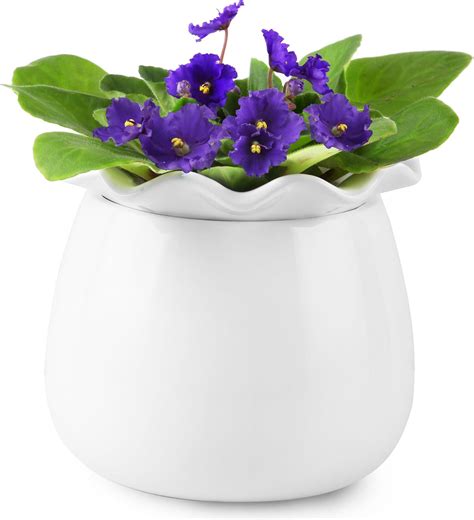 Amazon.com: Fayoula Self Watering Plant Pot, 6 Inch African Violet Pots ...