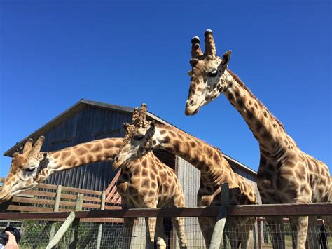 B. Bryan Preserve Wildlife Foundation in Point Arena, California - Kid ...