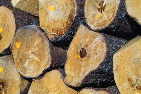 Image result for Rust Wooden Stack