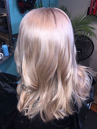 Image result for Honey Beige Blonde Hair Color