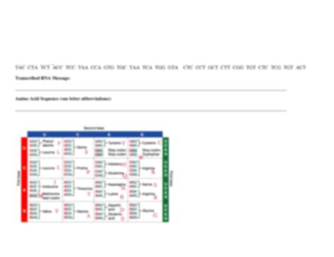Protein Synthesis Worksheet 的图像结果