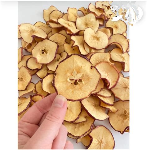 Kohinoor Hub Premium Apple Chips Slices Dried 1.5kg | Sun Dried Apples ...