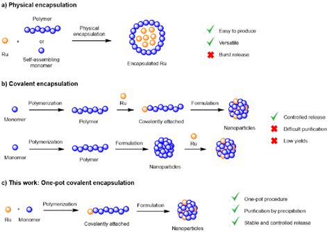 Image result for Video Encapsulation Methods Co-Crystallization