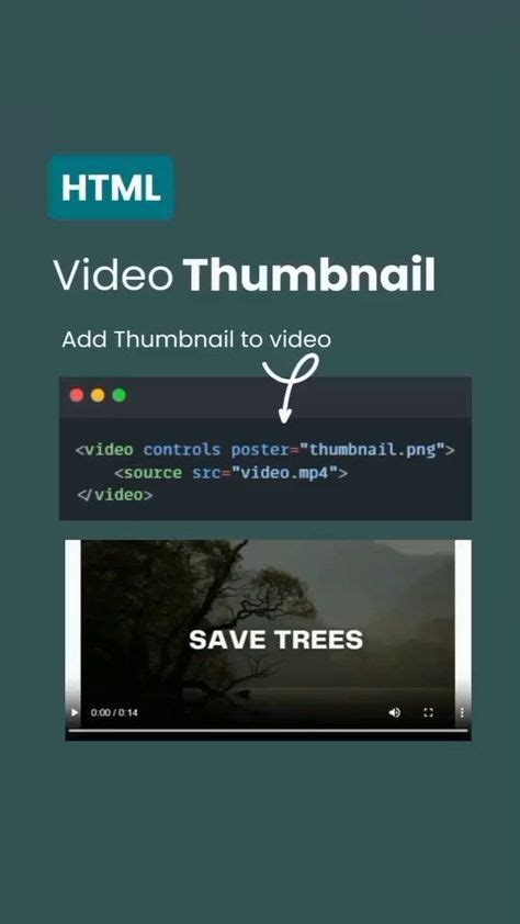 CSS Coding Tutorial 的图像结果