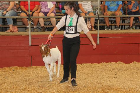 Berkeley County Youth Fair – Berkeley County, WV