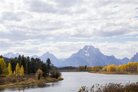 Image result for CWC Ruster Logo