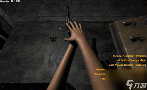 Hand Simulator Tutorial 的图像结果