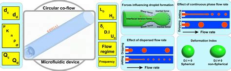 MFM Laboratory | IIT Dharwad — Multiphase Flow & Microfluidics