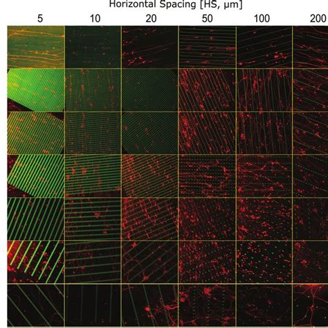 Image result for Diode Mask Design Using KLayout