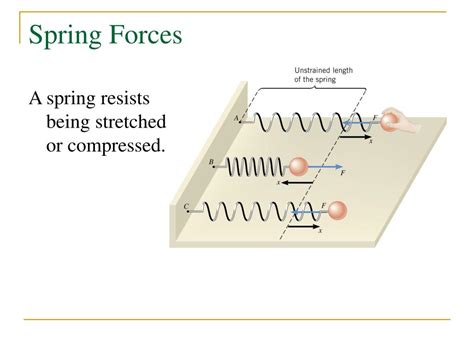 Image result for Forces On a Spring