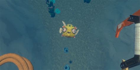 Explosive Powder Raft 的图像结果