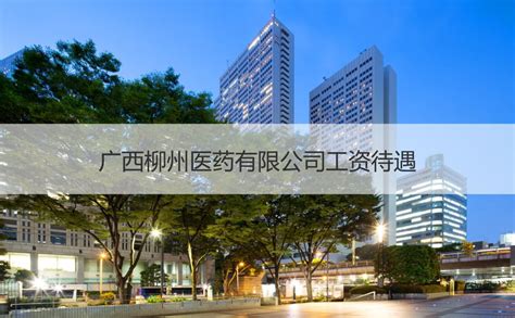 柳州市喜鹊会计服务公司-柳州代办公司注册-公司注册-代理记帐-纳税申报-企业年检变更