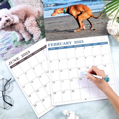 Buy Gag Gifts - Pooping Dogs Wall Calendar 2023 from January 2023 to ...