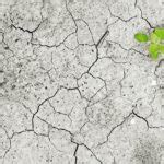 Using big data to fight climate change | BBVA