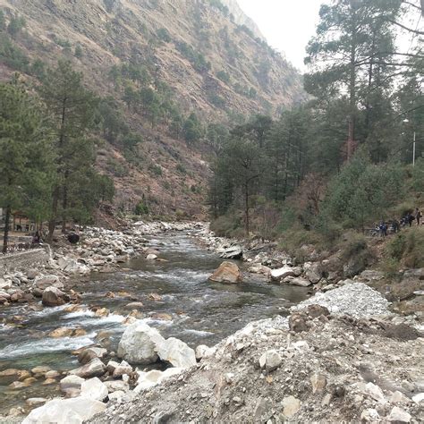 RIVER SIDE RESORT & ADVENTURES (Kullu, Himachal Pradesh) - Hotel ...