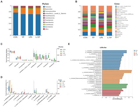 Frontiers | Yeast peptides alleviate lipopolysaccharide-induced intestinal barrier damage in ...