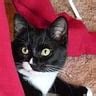 Image result for Web Dev Stack