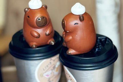 Best restaurants in Ximending, Taiwan 2025