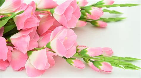 Image result for Spring Pink 2D