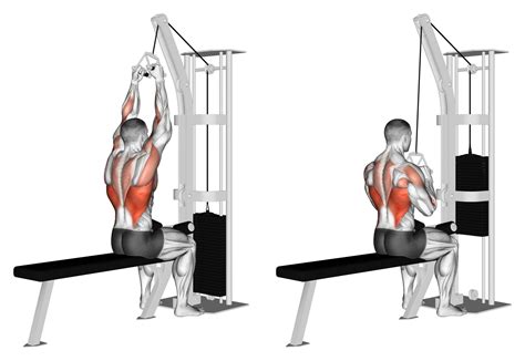 7 Best Lat Pulldown Variations (with Pictures!) - Inspire US