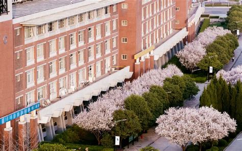 欧亚国际学院举行首届本科学生毕业典礼暨学位授予仪式-河南大学新闻网