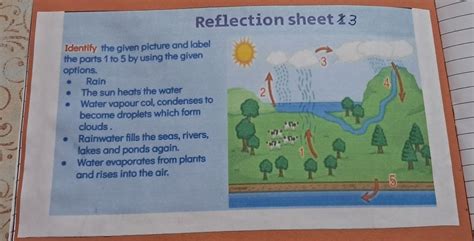 Answer The Same As Given in the picture - Brainly.in