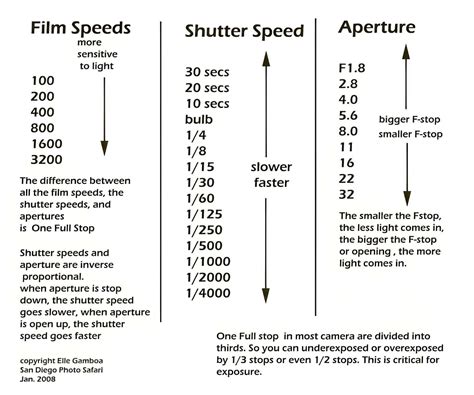 Free Printable Comprehensive Shutter Speed Chart For Perfect Photography