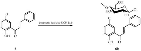 Antimicrobial Activity of Chalcones with a Chlorine Atom and Their ...